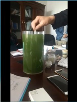 �ƽ݃�ˮ�F(xi��n)����͑��Ӻ�������Ч�����ƶ������Ӻ�����